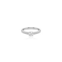 077562-4
