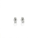 10-Brinco Solitário 2 Brilhantes 0,20ct g VS1 1,42g Ouro Branco 18k - Coleção Only You